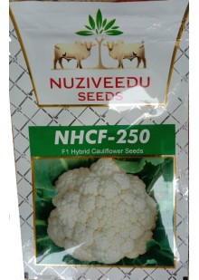 NHCF 250